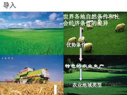 中图版高一地理必修二 世界主要农业地域类型