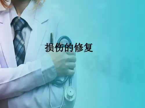 组织细胞适应、损伤和修复 修复 损伤的修复 病理学课件