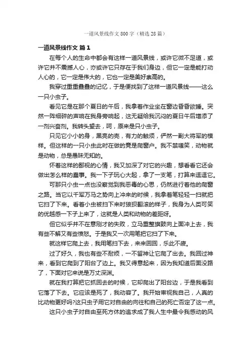 一道风景线作文800字（精选28篇）