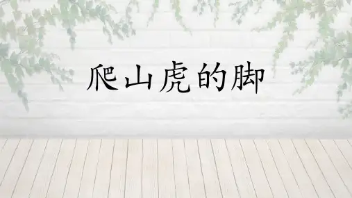10 爬山虎的脚  课件(共32张PPT)