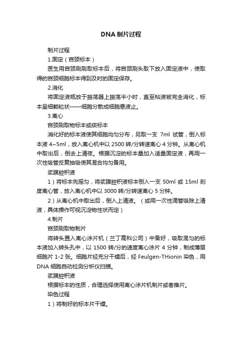 DNA制片过程