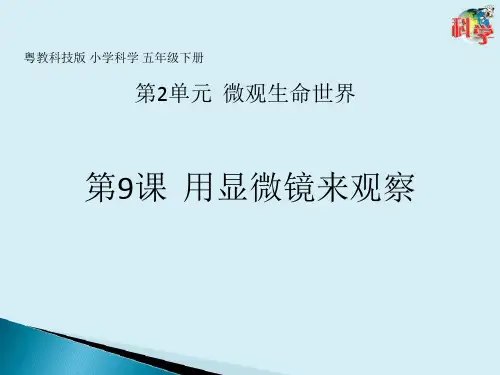 五年级下册科学PPT课件-《用显微镜来观察》 粤教版(PPT共25页)