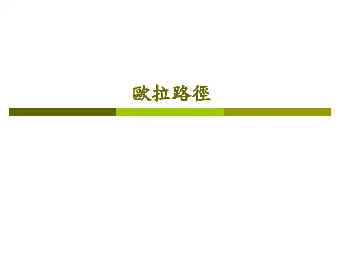 欧拉路径