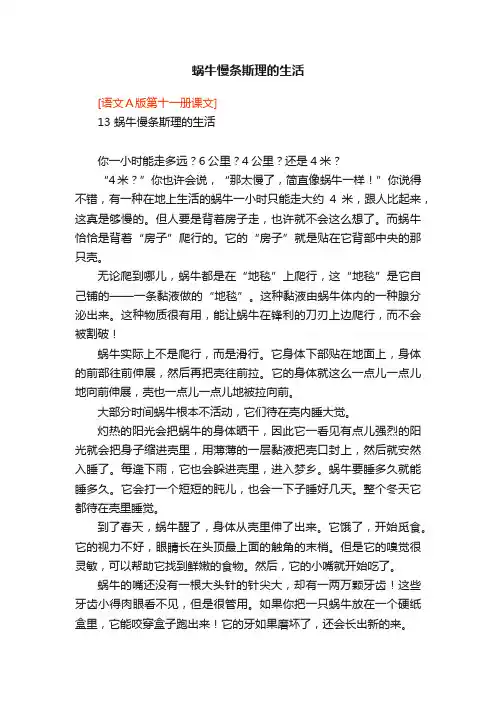 蜗牛慢条斯理的生活