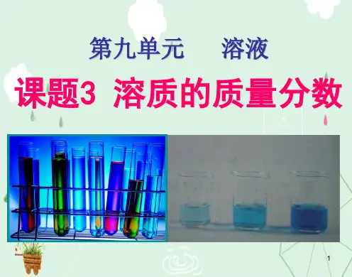 溶液的浓度PPT课件1 人教版
