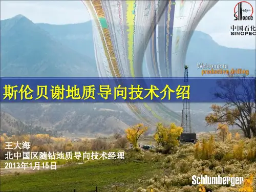 地质导向技术介绍_Final_Client_New