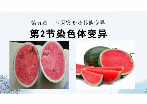 染色体变异ppt课件