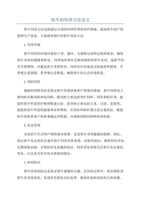 奶牛的饲养方法范文