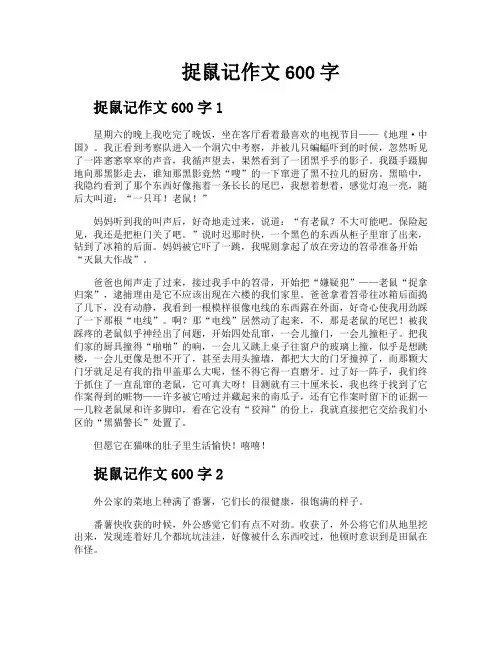 捉鼠记作文600字