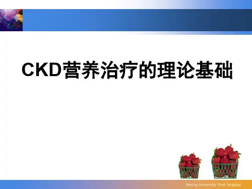 2-CKD营养治疗的理论学基础