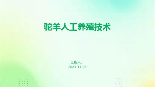 驼羊人工养殖技术