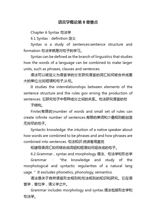 语言学概论第6章重点