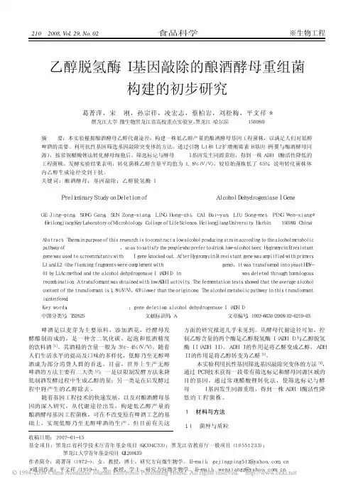 乙醇脱氢酶I基因敲除的酿酒酵母重组菌 构建的初步研究