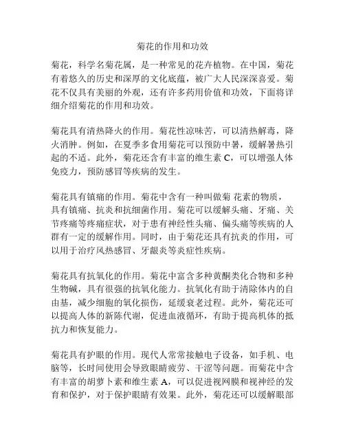 菊花的作用和功效