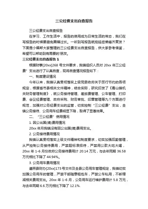 三公经费支出自查报告