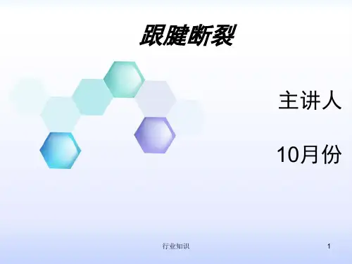 跟腱断裂护理查房[荟萃知识]
