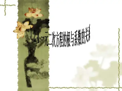《一元二次方程的根与系数的关系》课件(共16张PPT)