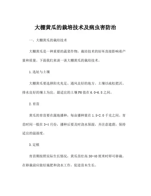 大棚黄瓜的栽培技术及病虫害防治