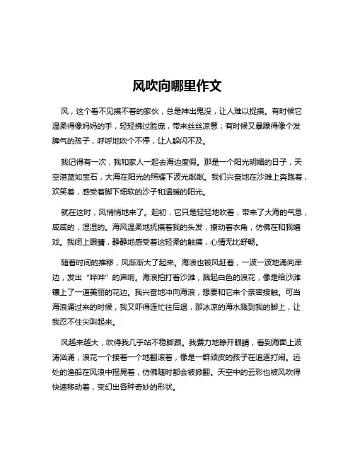 风吹向哪里作文