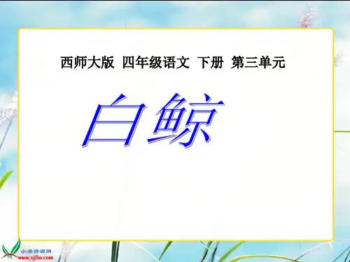 12《白鲸1》PPT课件
