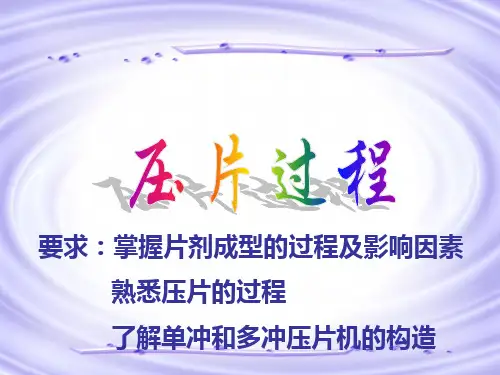 《压片过程及压片机》PPT课件