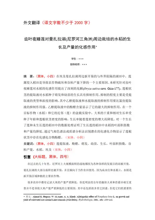 翻译格式模板