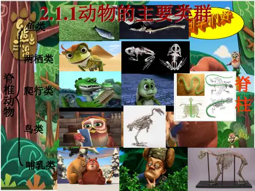 华东师大版科学七年级上 册 2.1《动物的主要类群》