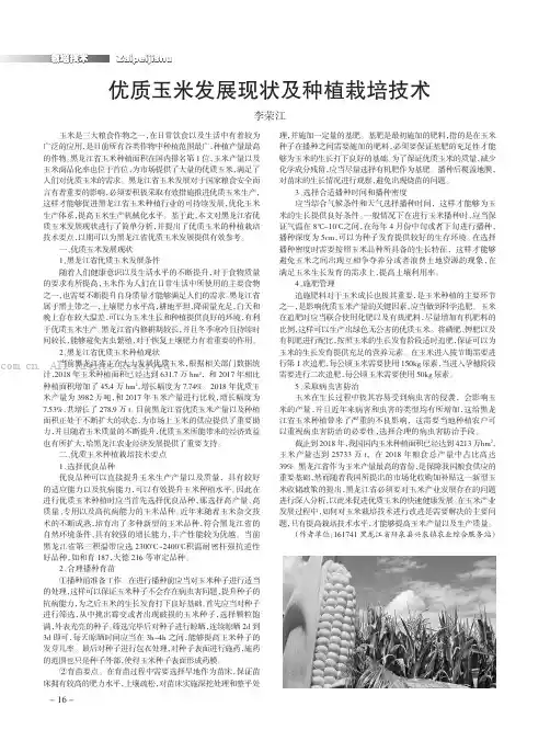 优质玉米发展现状及种植栽培技术