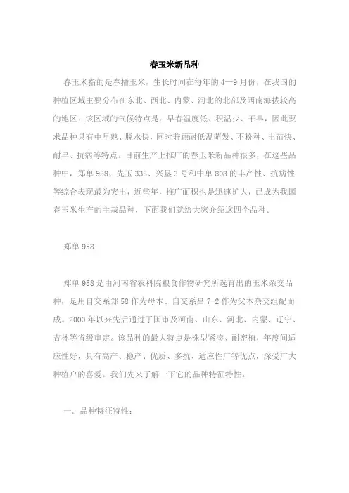 春玉米新品种