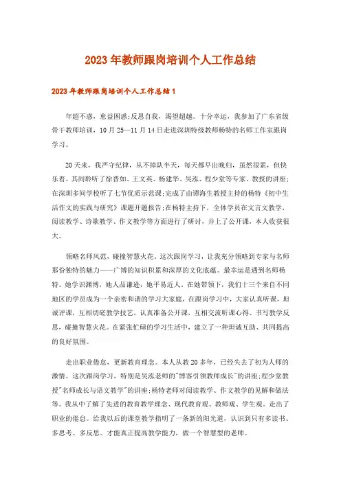 2023年教师跟岗培训个人工作总结