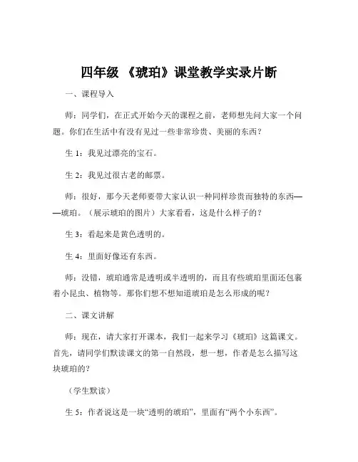 四年级 《琥珀》课堂教学实录片断
