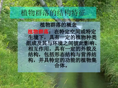植物群落的结构特征