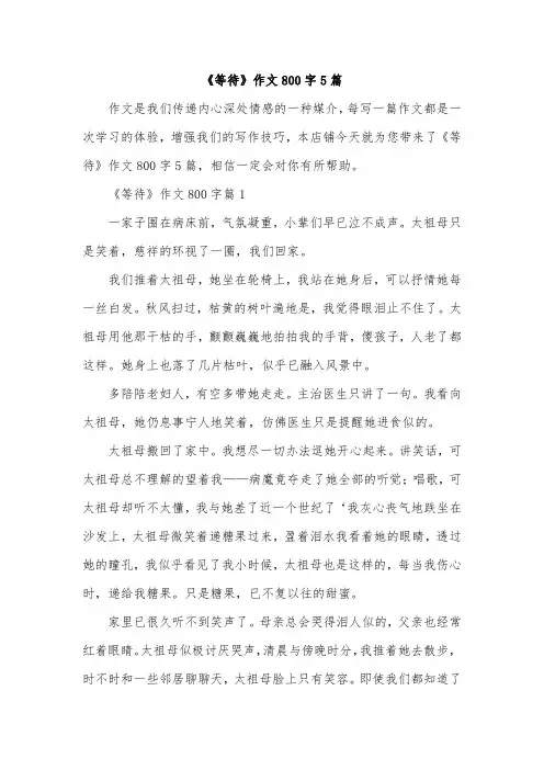 《等待》作文800字5篇