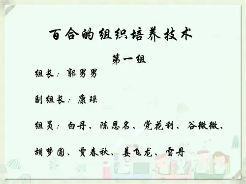 百合的组织培养技术