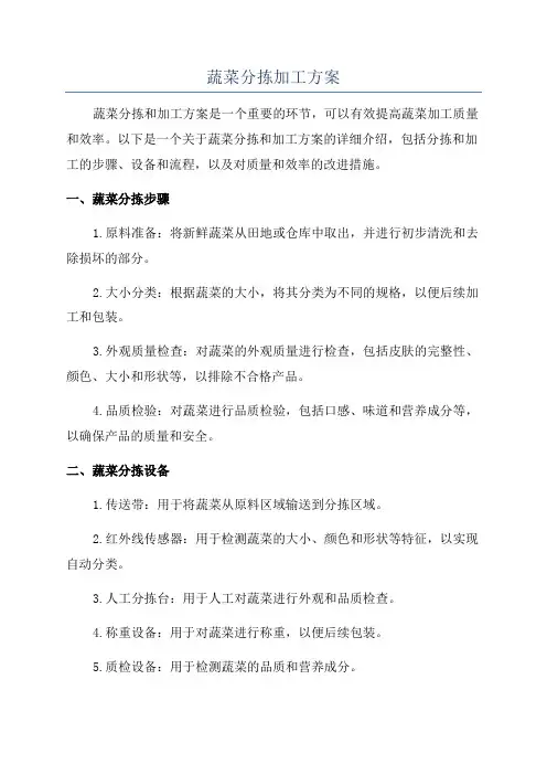 蔬菜分拣加工方案