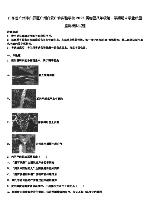 广东省广州市白云区广州白云广雅实验学校2025届物理八年级第一学期期末学业质量监测模拟试题含解析