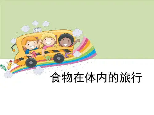 《食物在体内的旅行》我们的身体-教科版四年级科学上册PPT课件