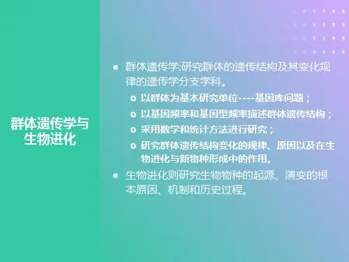遗传学第十章群体遗传与进化