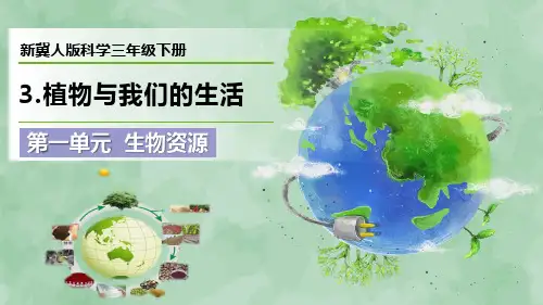 新冀人版科学三年级下册第一单元 生物资源《植物与我们的生活》优质课件