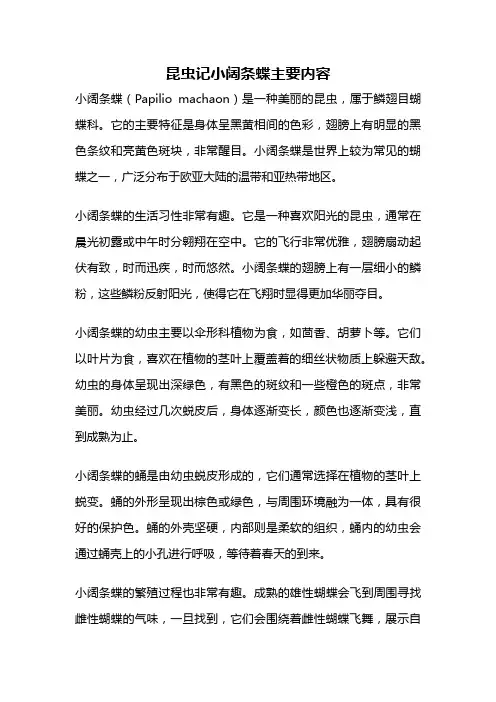 昆虫记小阔条蝶主要内容