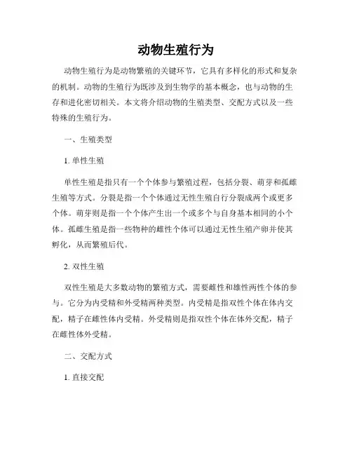 动物生殖行为