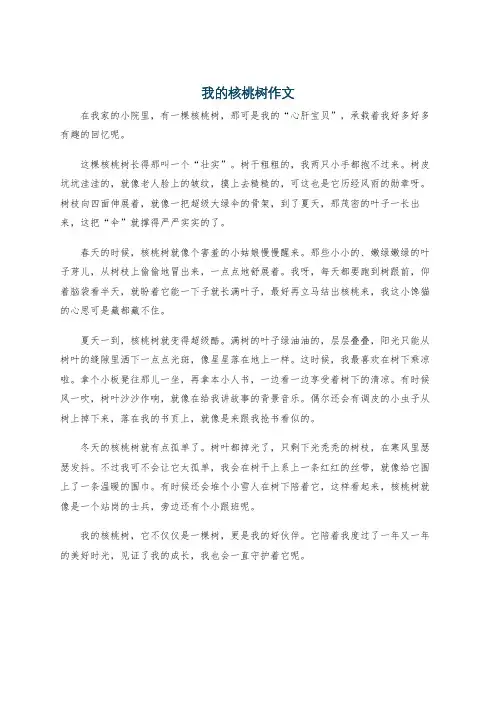 我的核桃树作文