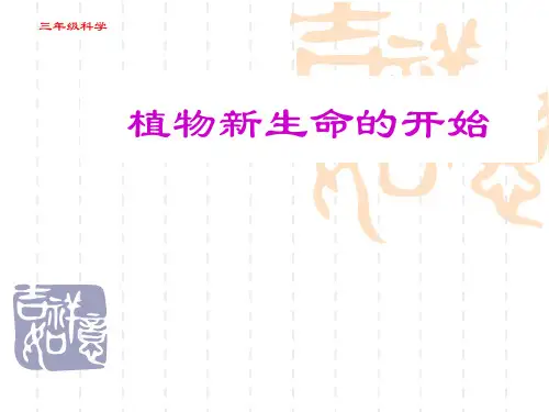 科学三年级下植物的生长变化