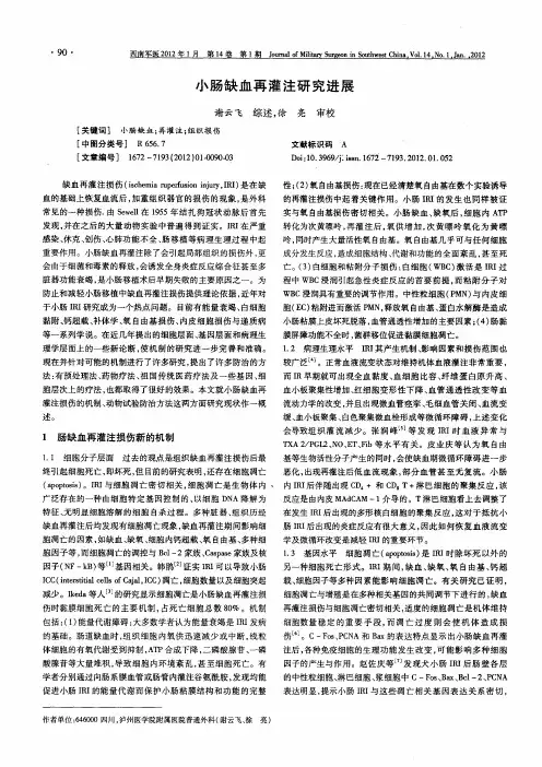 小肠缺血再灌注研究进展