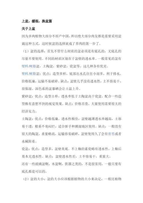 初学种植多肉技巧与经验