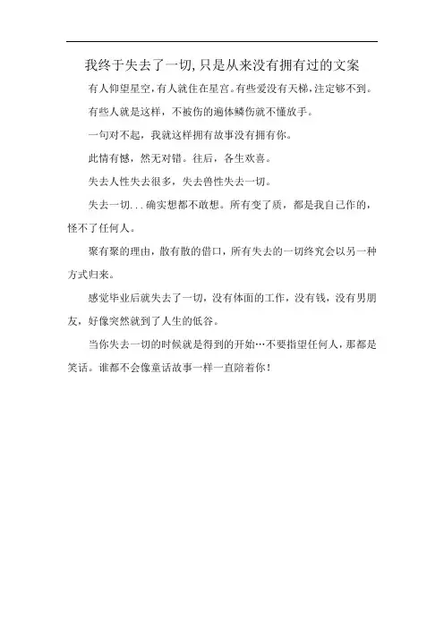 我终于失去了一切,只是从来没有拥有过的文案
