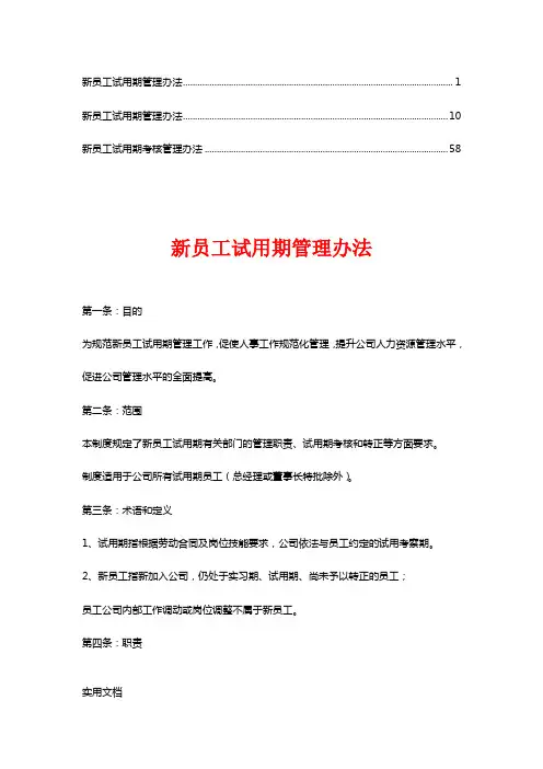 新员工试用期管理办法(2)