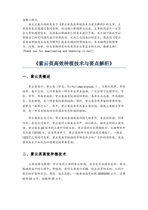 《紫云英高效种植技术与要点解析》