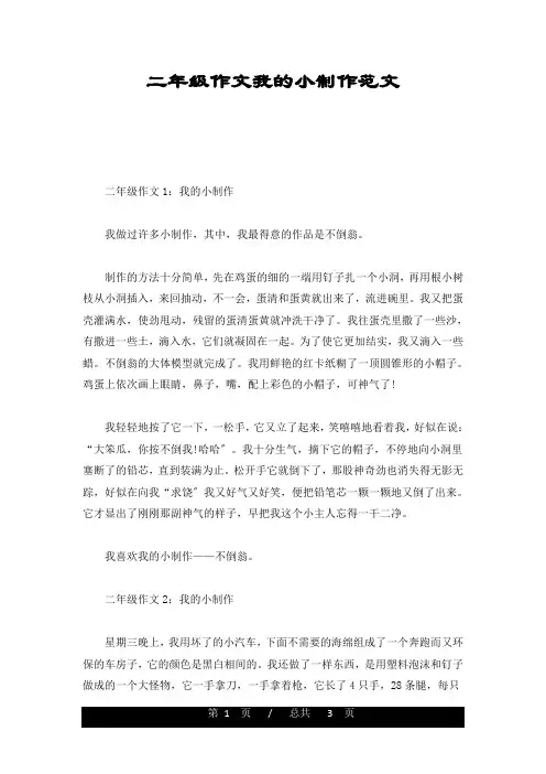 全版二年级作文我的小制作范文