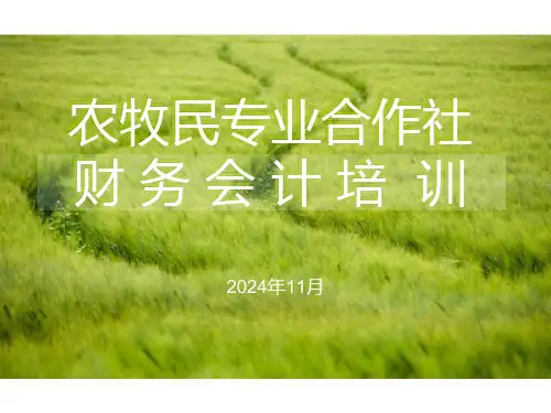 农民专业合作社财务会计培训课件